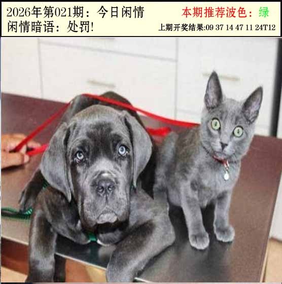 021期今日闲情2[图]