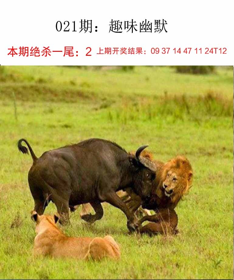 021期趣味幽默[图]