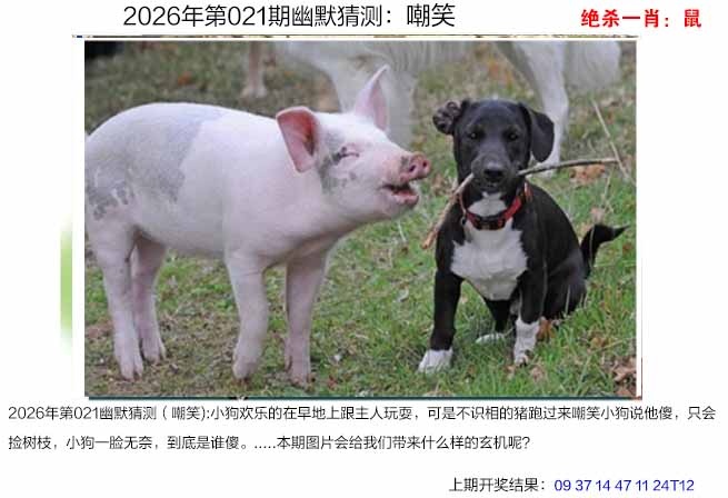 021期幽默猜测[图]