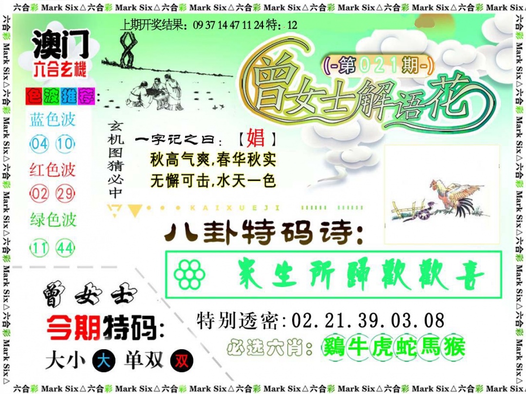 021期曾女士解语花[图]