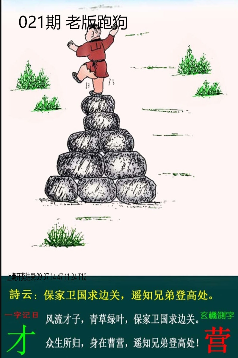 021期老板跑狗[图]