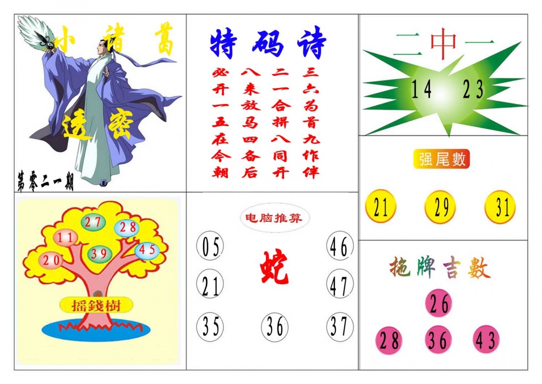 021期小诸葛[图]