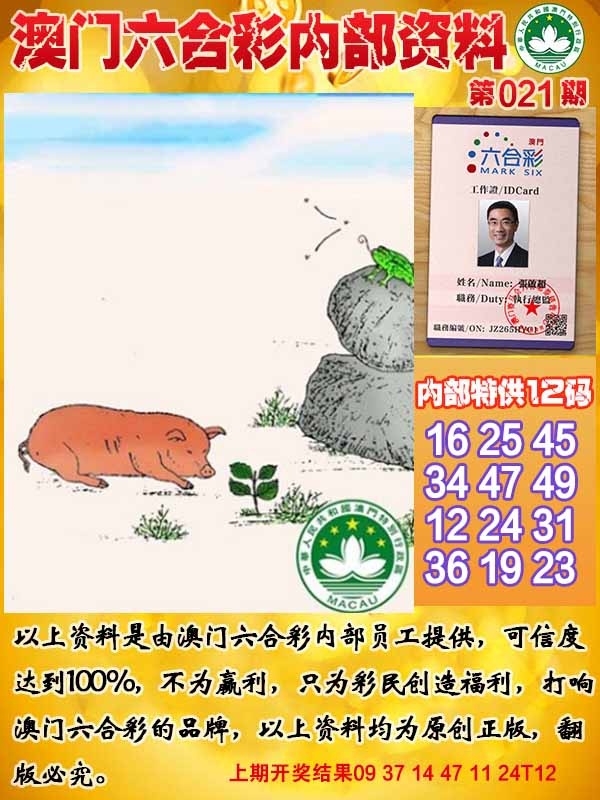 021期六合内部资料[图]