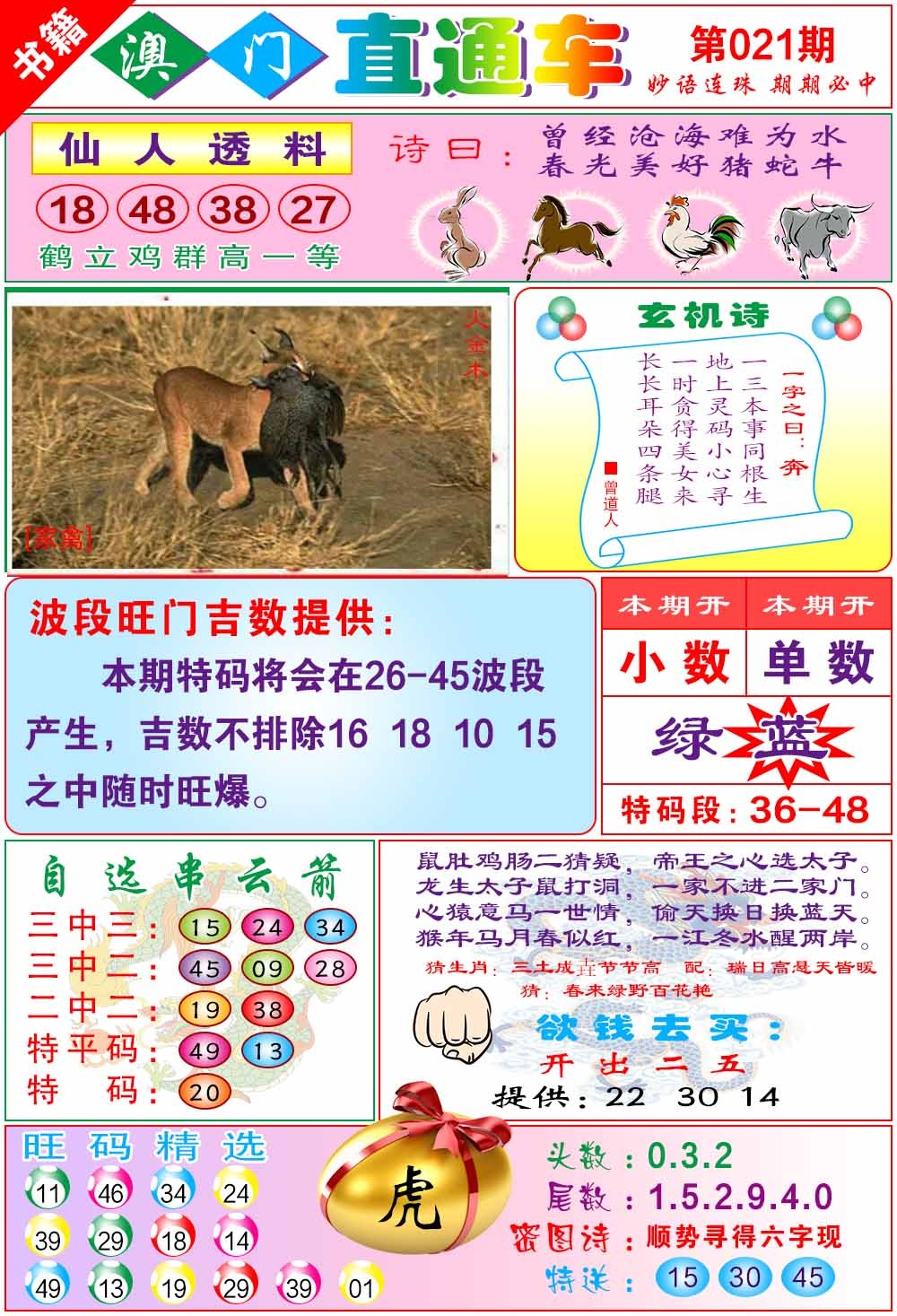 021期白姐直通车[图]