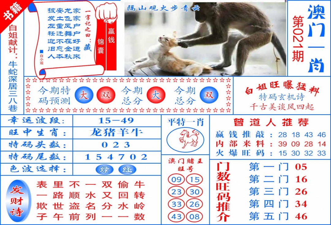 021期澳门东北虎[图]