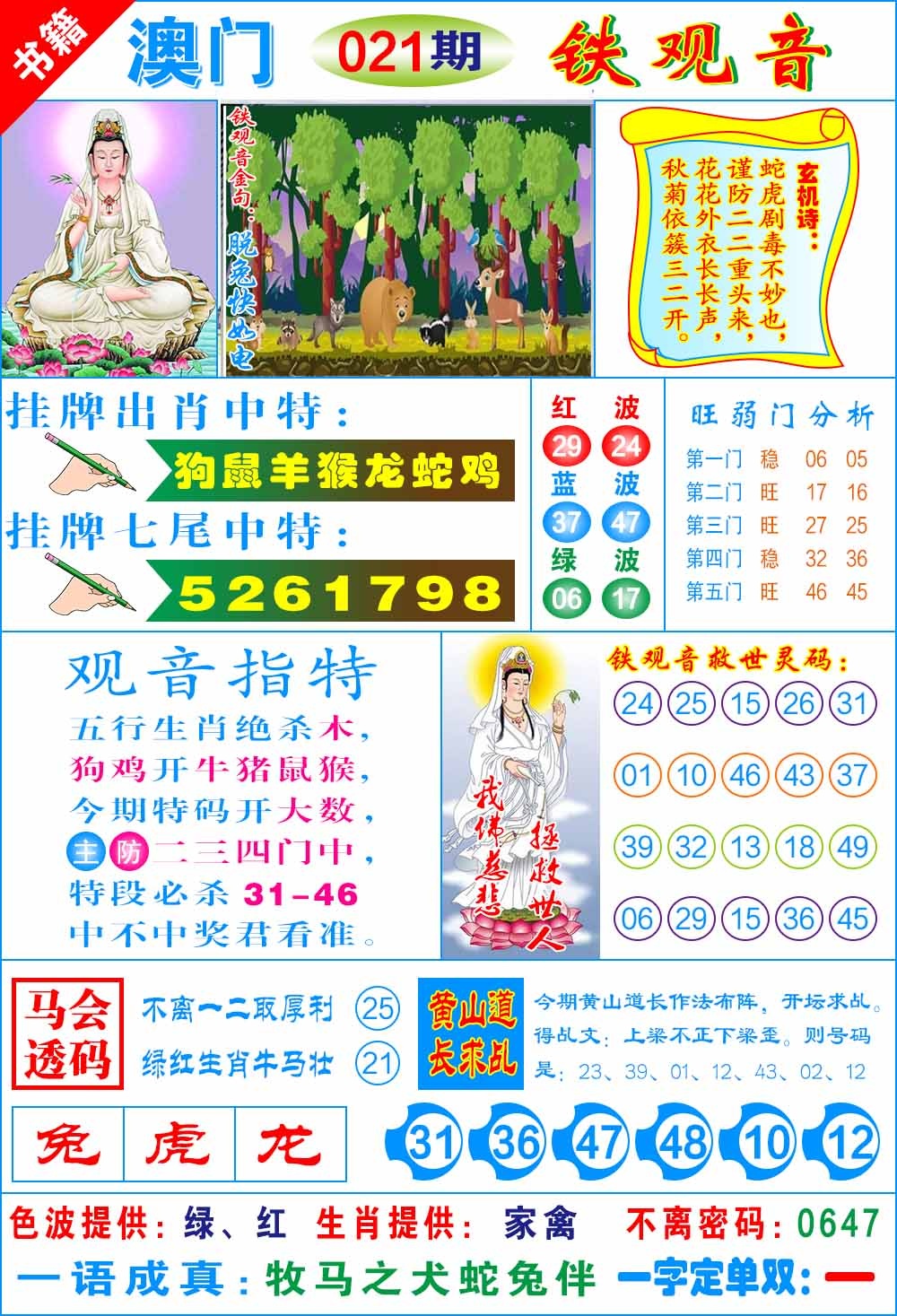 021期澳门铁观音[图]