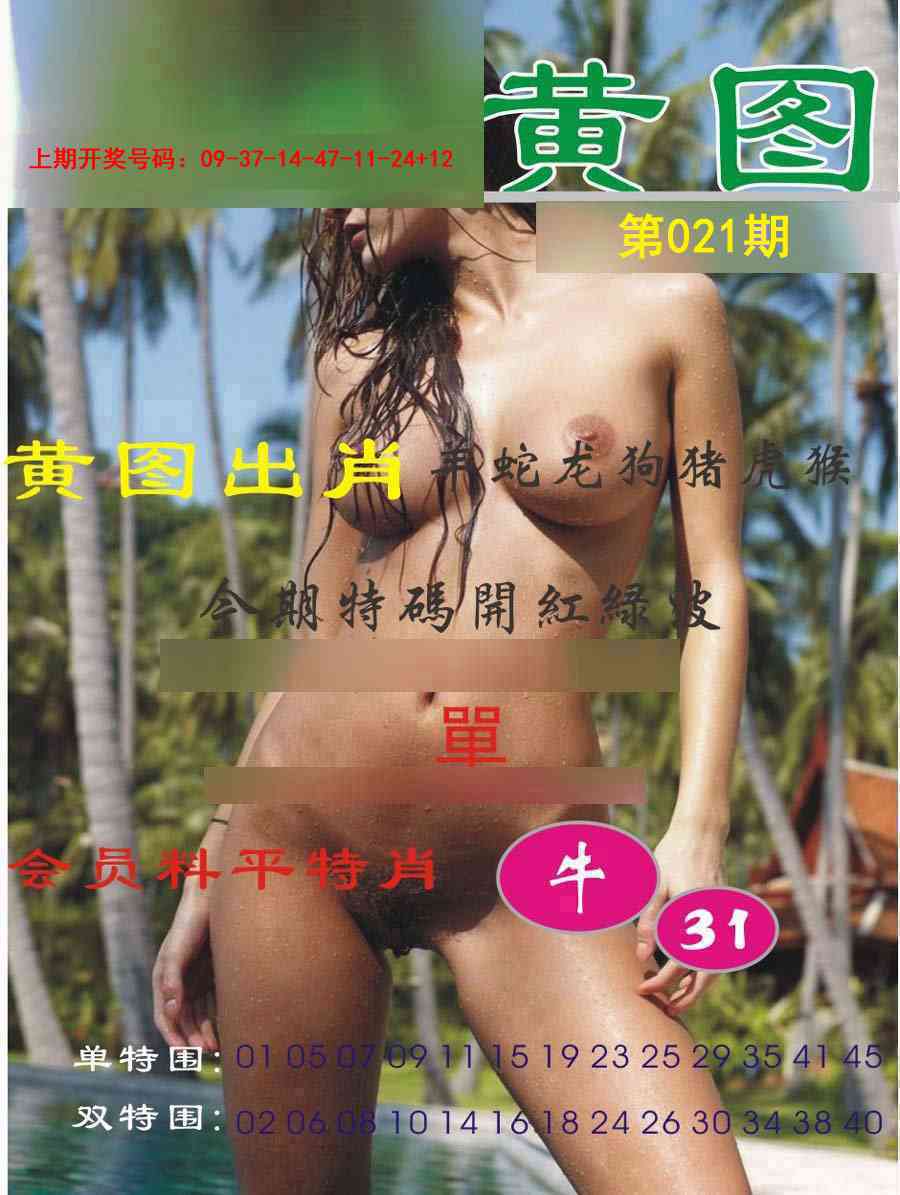 021期黄图[图]