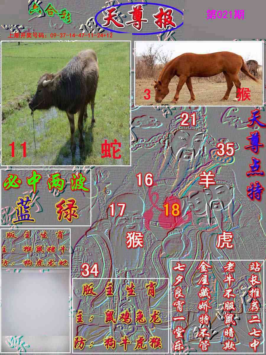 021期天尊报[图]