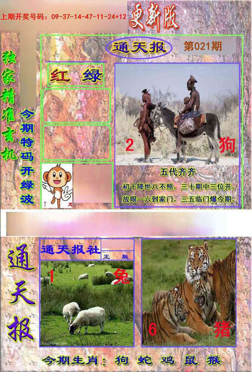 021期新通报[图]