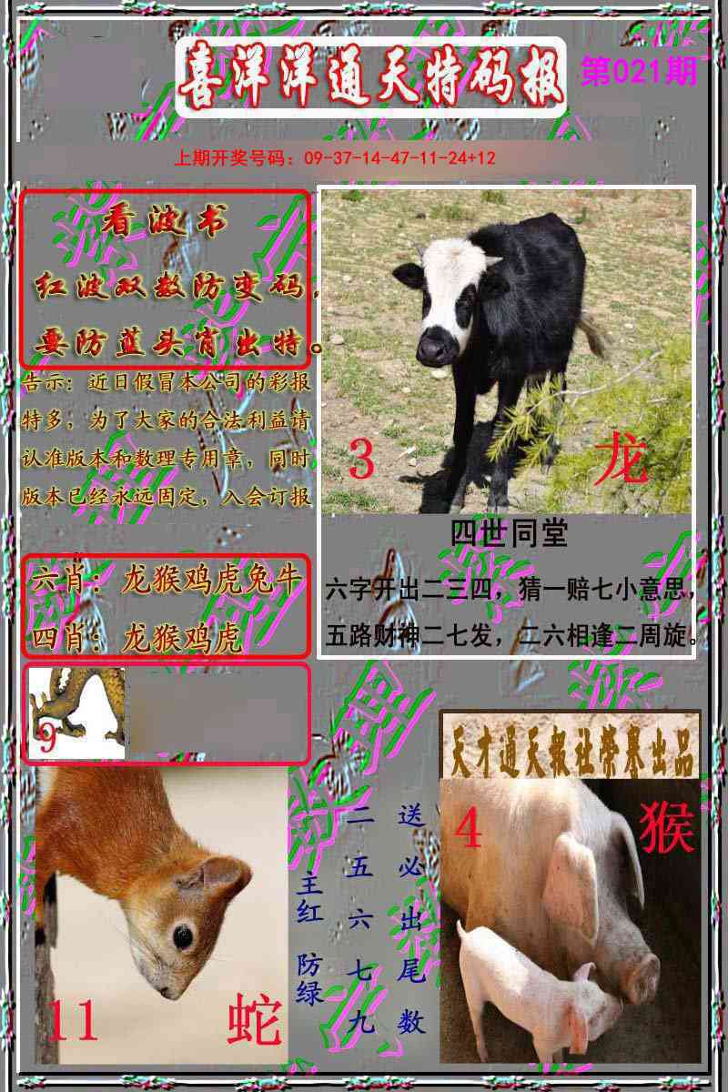 021期洋通报[图]