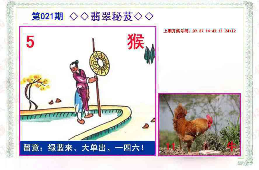 021期翡翠报[图]