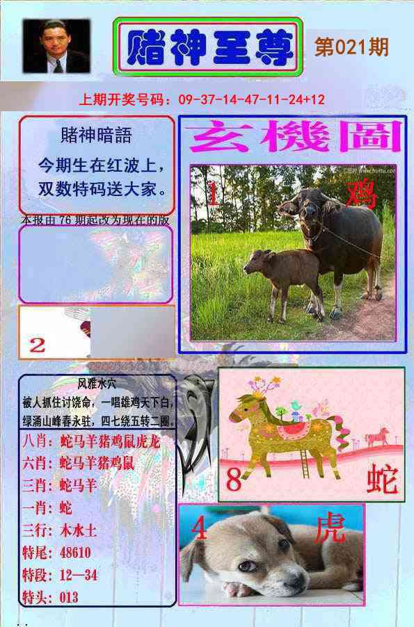 021期赌神至尊[图]