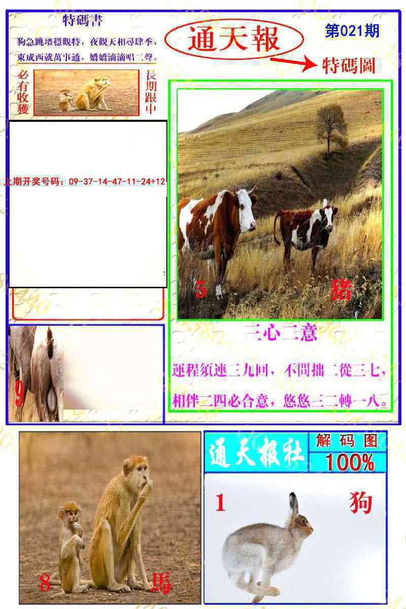 021期通天特解图[图]