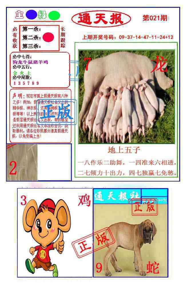 021期通天杀波图1[图]