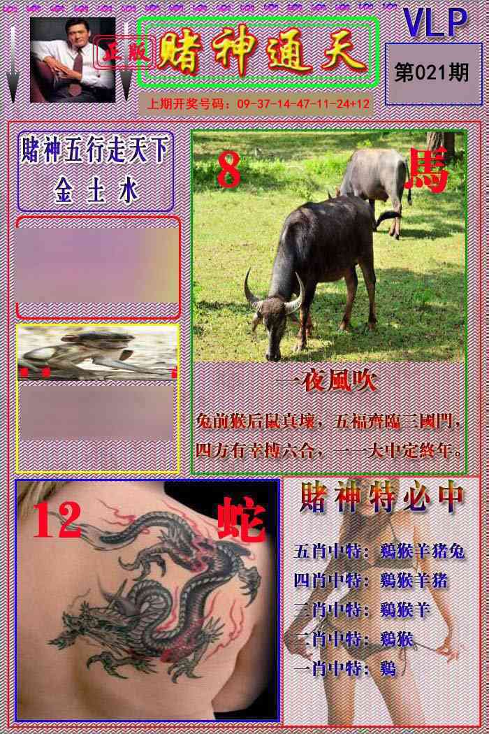 021期赌神通天报[图]