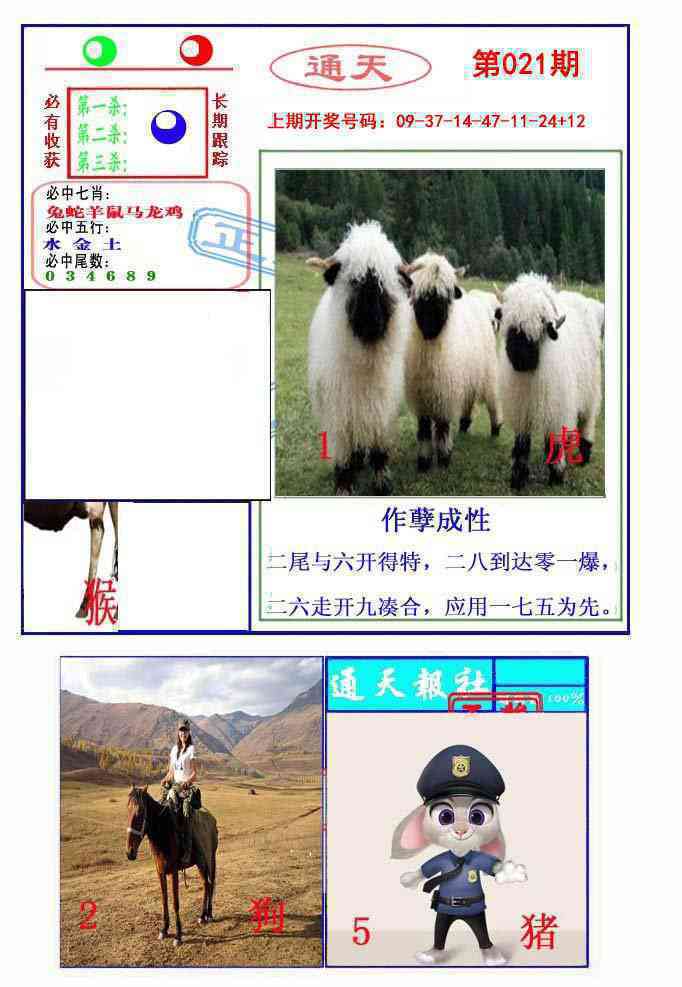 021期通天杀波图2[图]