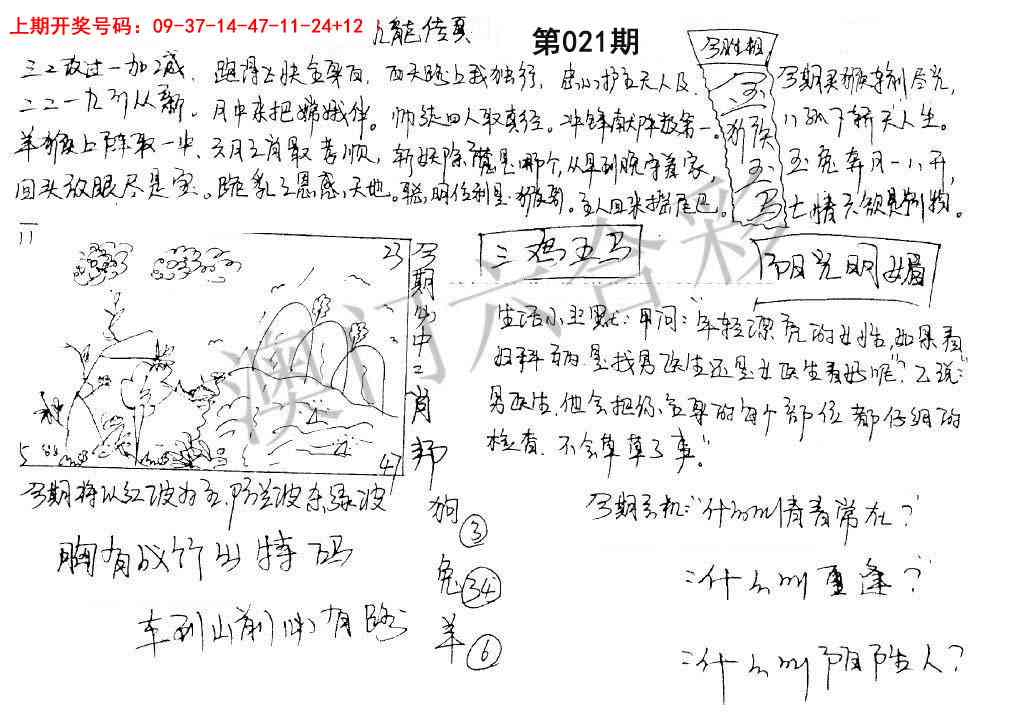 021期手写九龙内幕[图]