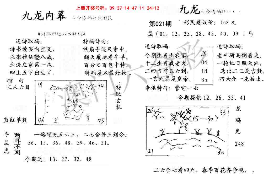 021期九龙内幕[图]