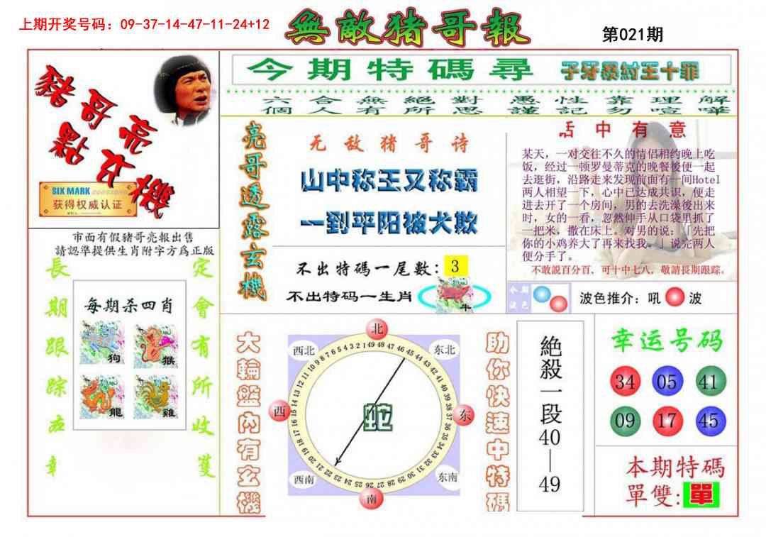 021期无敌猪哥[图]