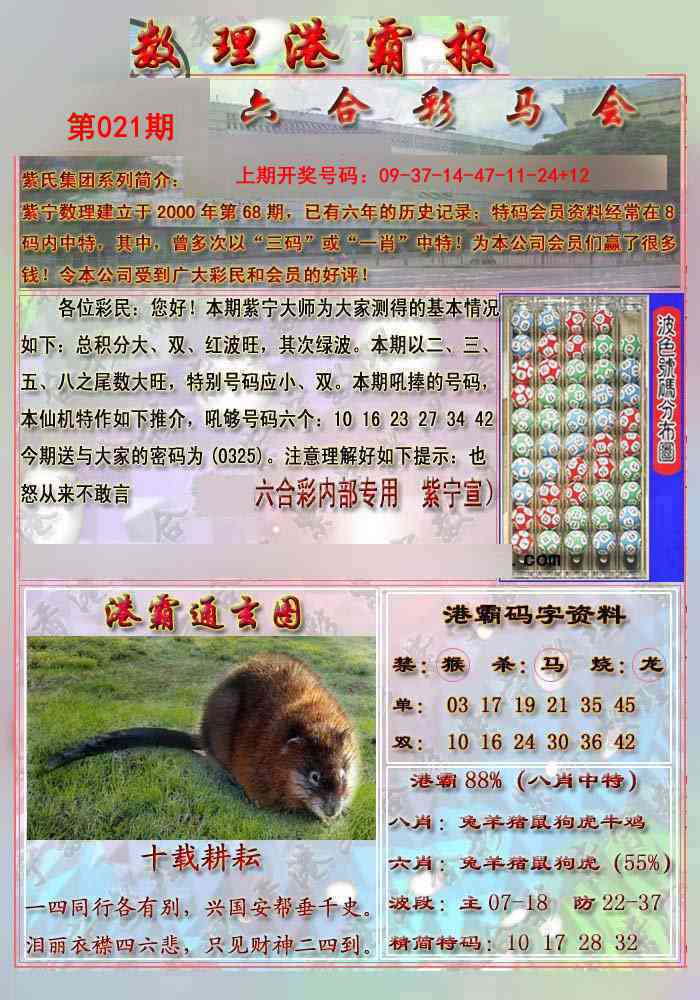 021期港霸报[图]