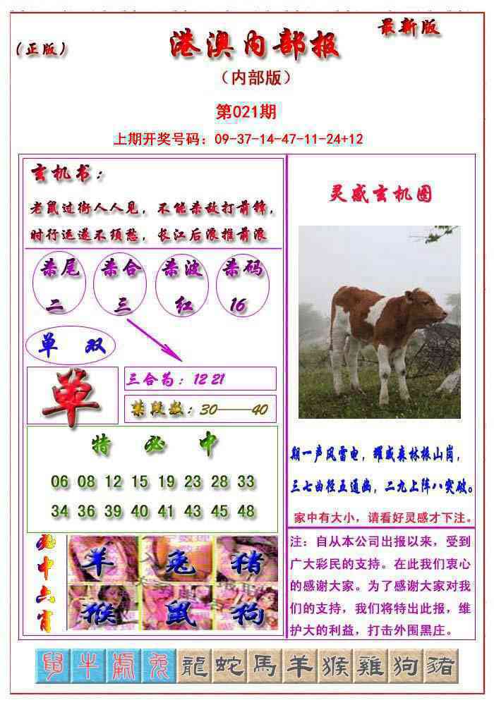 021期港澳报[图]