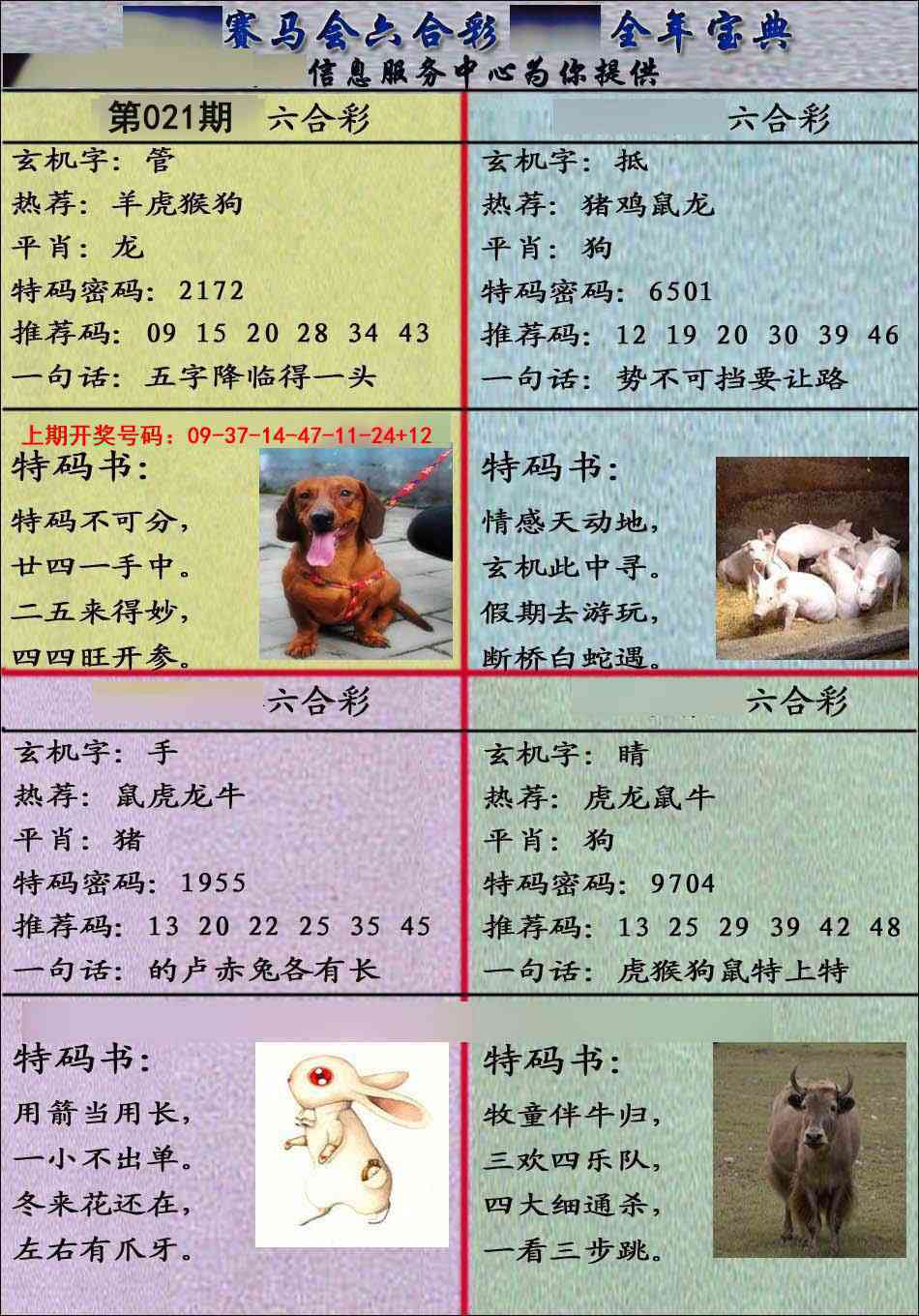 021期宝典报[图]