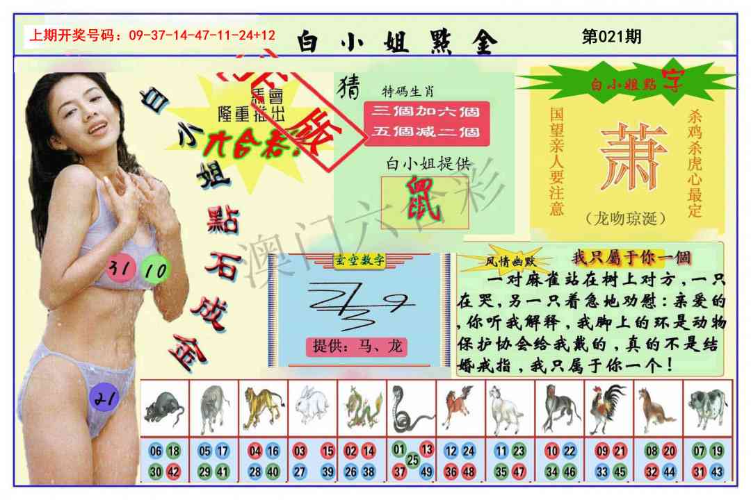 021期白小姐点金[图]
