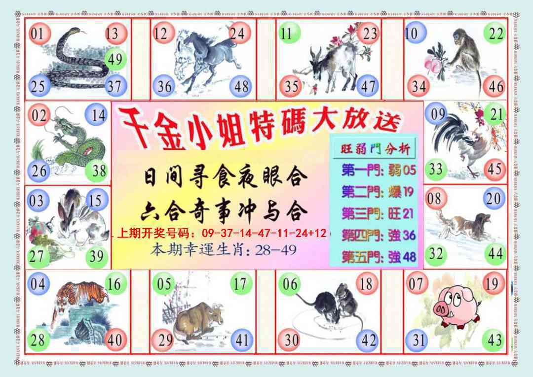 021期千金小姐B版[图]