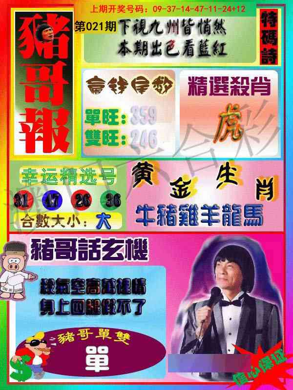 021期猪哥报[图]
