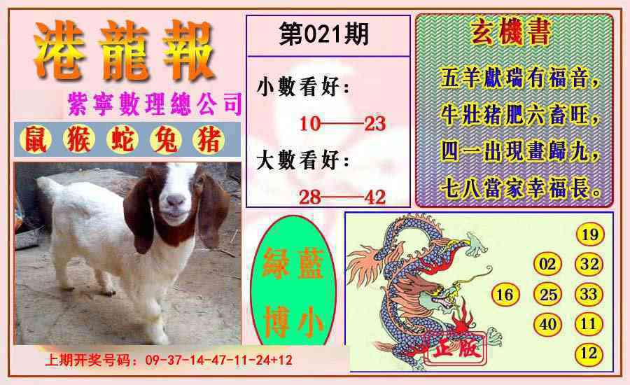 021期港龙报[图]