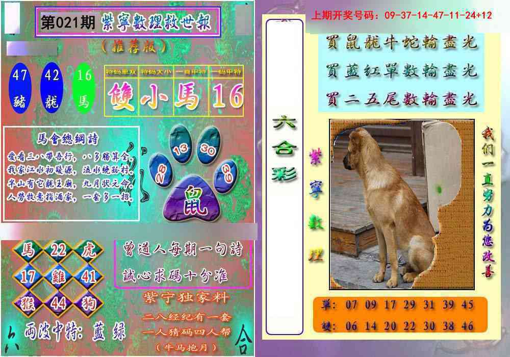 021期数理救世报[图]