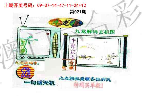 021期九龙报[图]