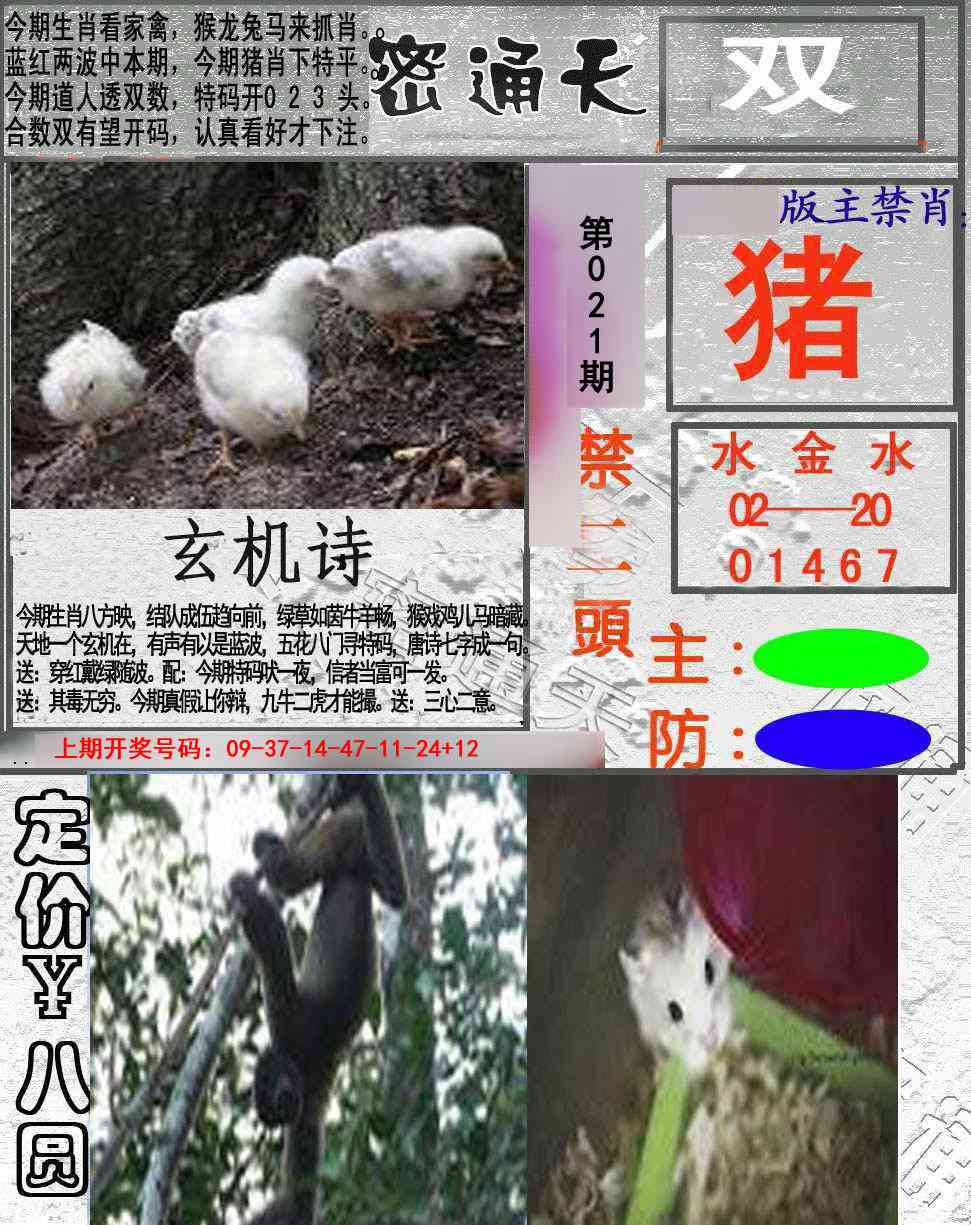 021期密通天[图]