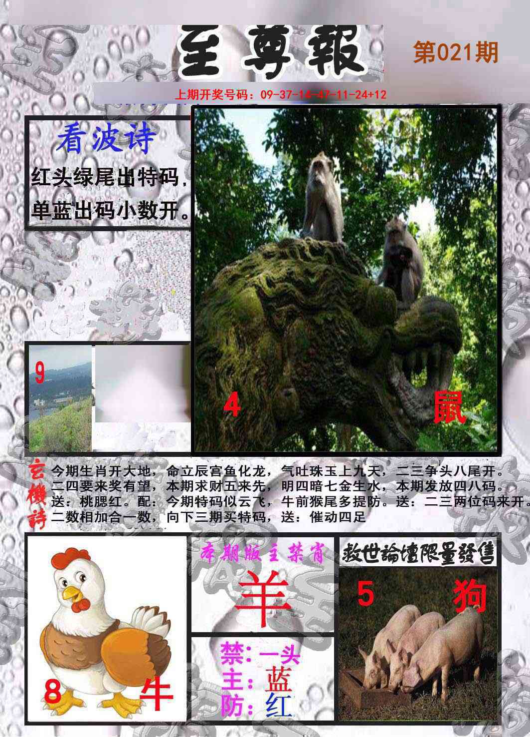 021期至尊报[图]