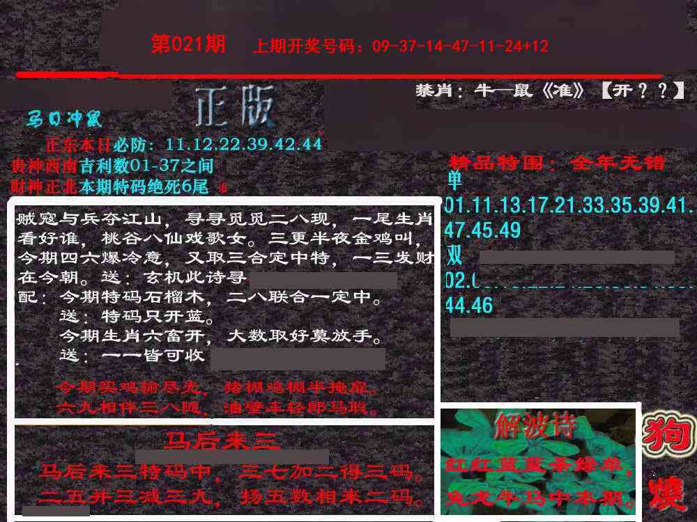 021期新港内幕[图]