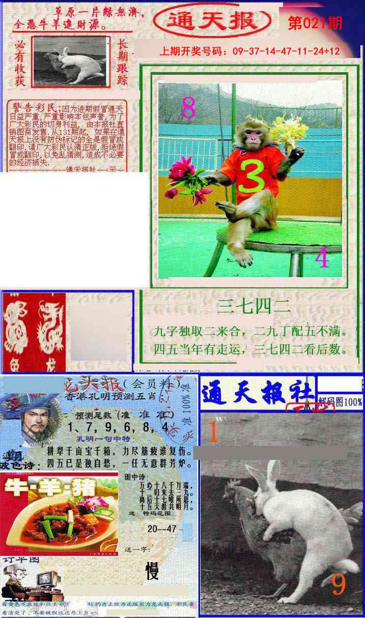 021期实力通天报[图]