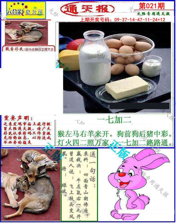 021期大陆通天报[图]