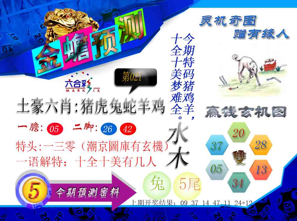 021期金蟾预测[图]