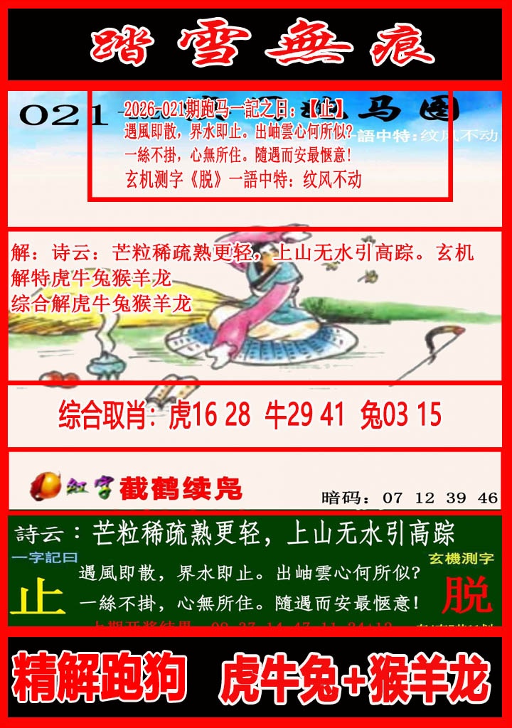 021期踏雪无痕跑马图[图]