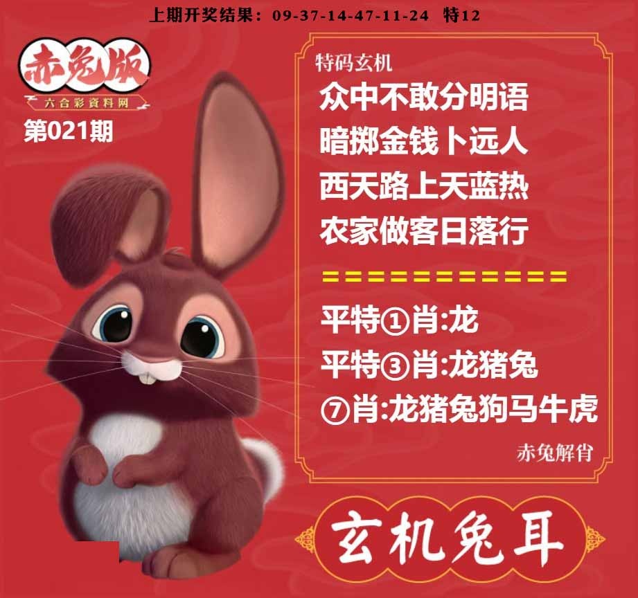 021期玄机兔耳[图]