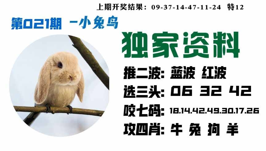 021期小兔鸟[图]