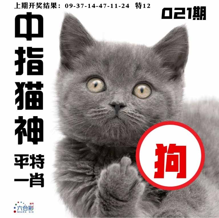 021期中指猫神[图]